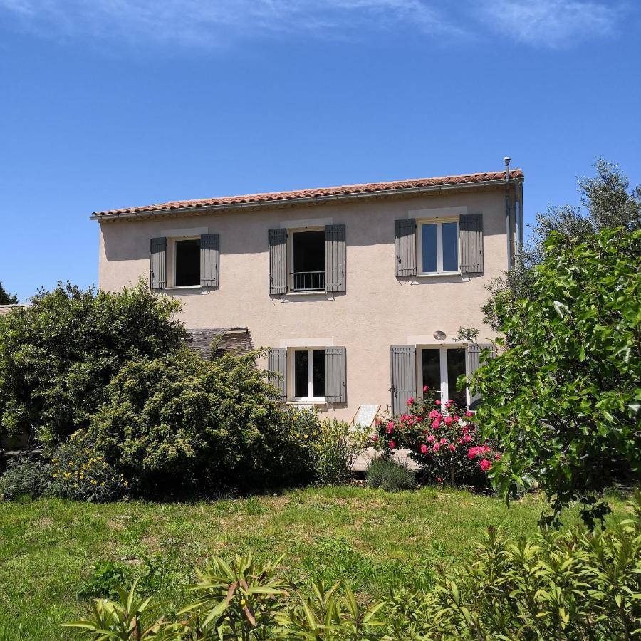 Villa Spacieuse Avec Terrasse Et Vue Mont Ventoux Entrechaux Eksteriør billede