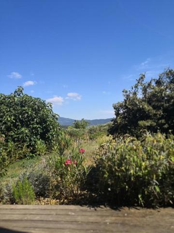 Villa Spacieuse Avec Terrasse Et Vue Mont Ventoux Entrechaux Eksteriør billede