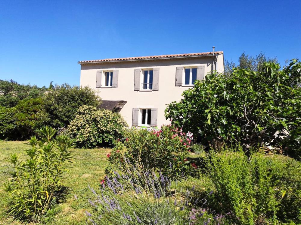 Villa Spacieuse Avec Terrasse Et Vue Mont Ventoux Entrechaux Eksteriør billede