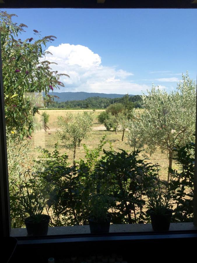 Villa Spacieuse Avec Terrasse Et Vue Mont Ventoux Entrechaux Eksteriør billede