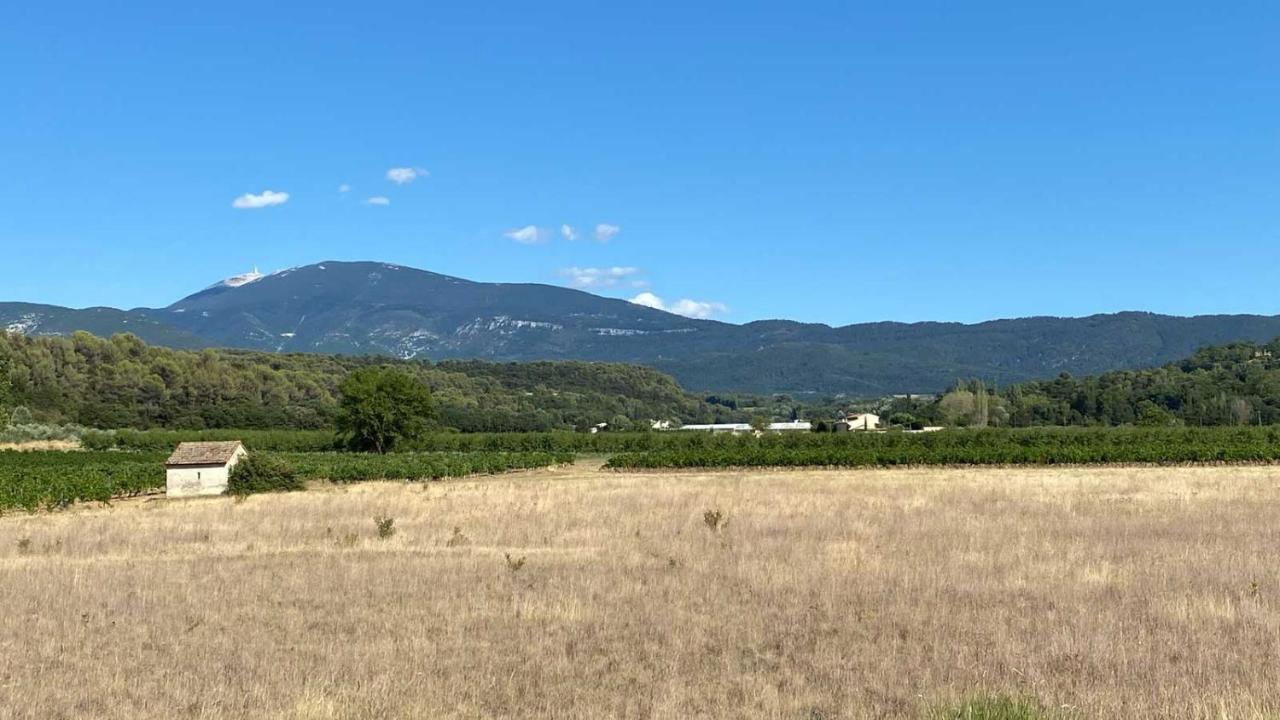 Villa Spacieuse Avec Terrasse Et Vue Mont Ventoux Entrechaux Eksteriør billede